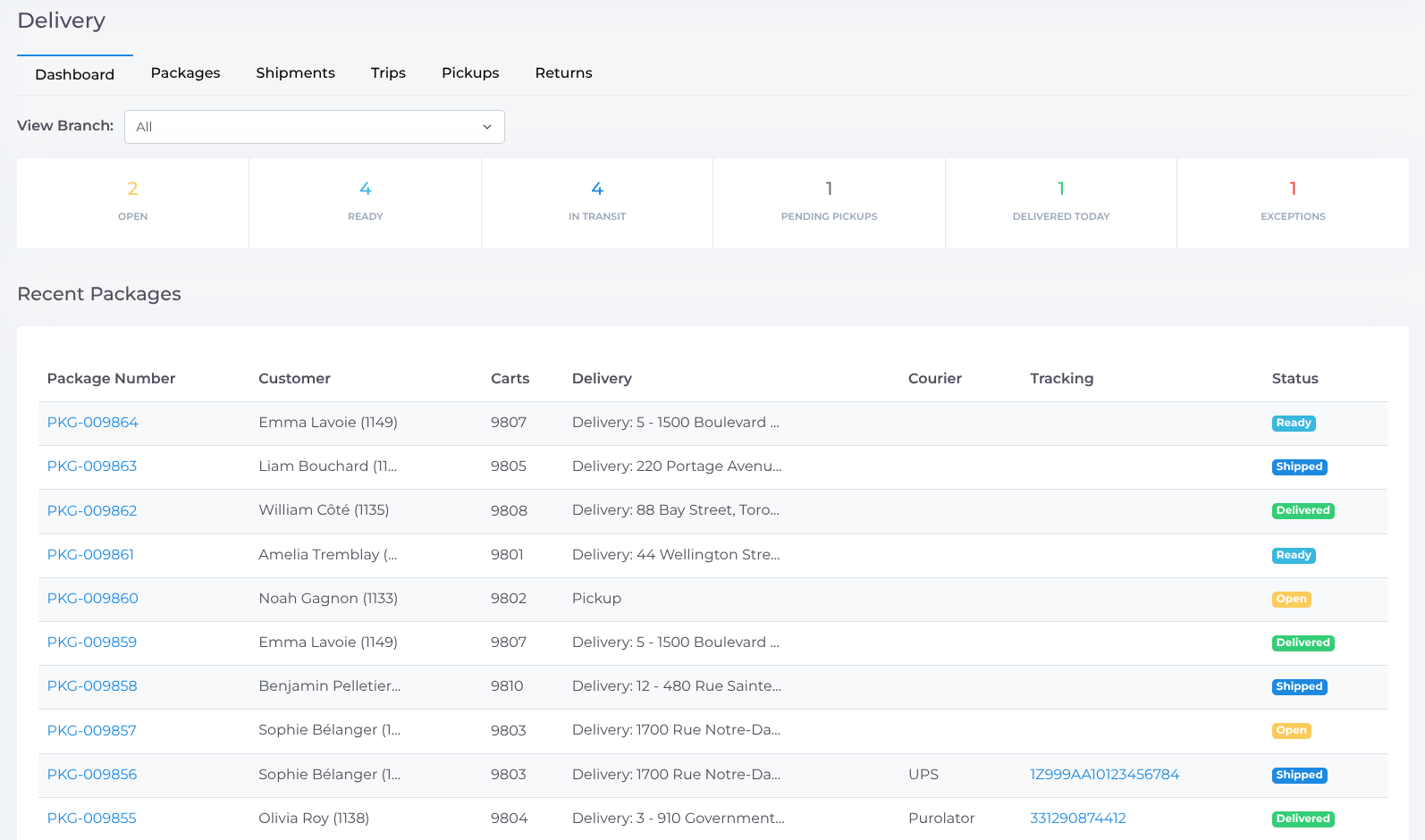 retail-delivery-dashboard