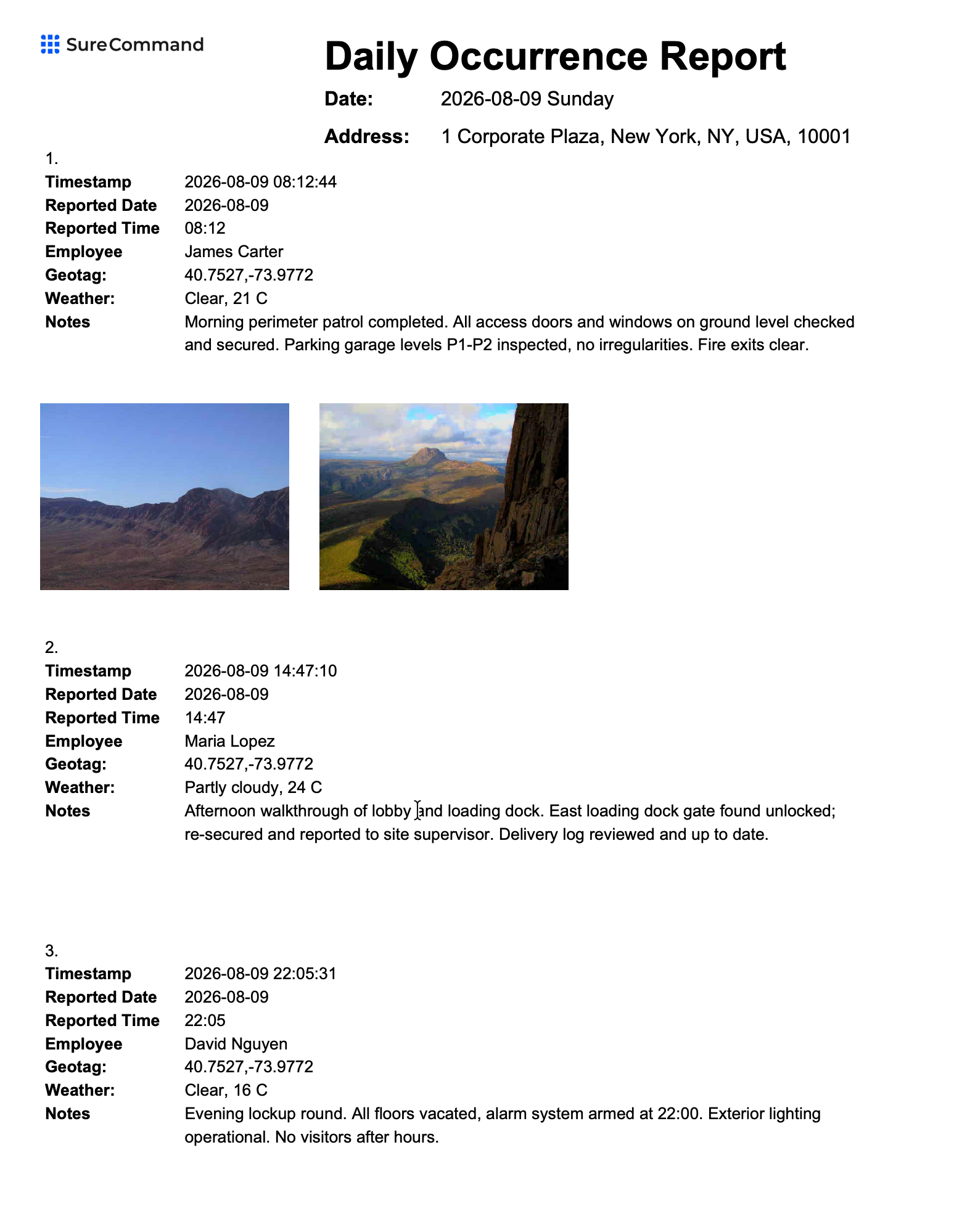 Daily Occurrence Report PDF