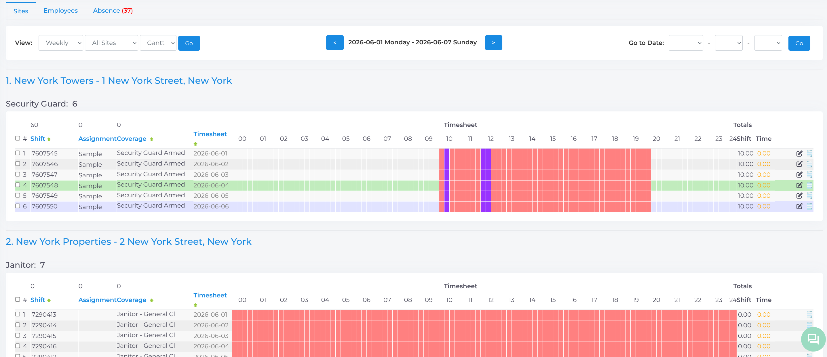 Gantt View